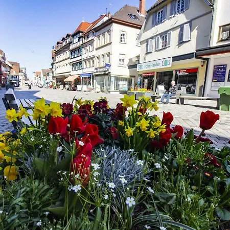 Ferienwohnung Innenstadt Oberkirch  Buitenkant foto