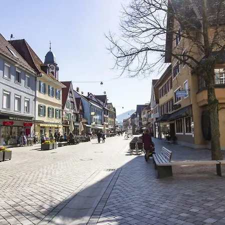 Ferienwohnung Innenstadt Oberkirch  Buitenkant foto